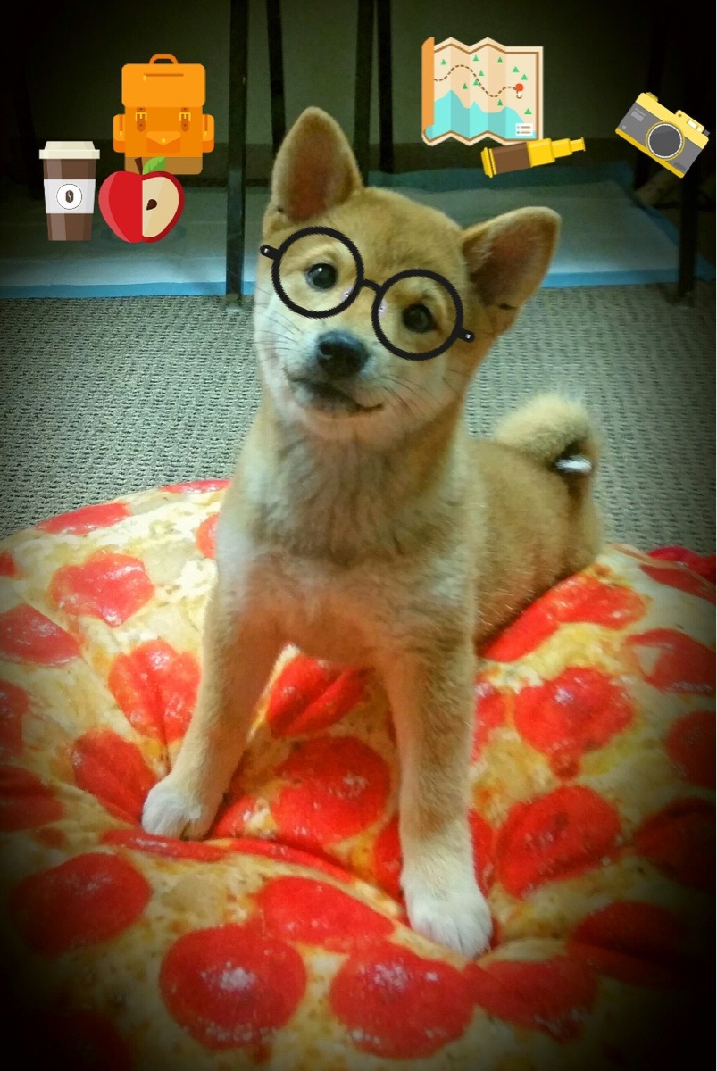 绝境中的唯一性，从亚特兰大翻盘到阿尔瓦雷斯接管—体育史上不可复制的英雄时刻