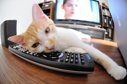 西决生死战之夜，德罗赞一扣定江山