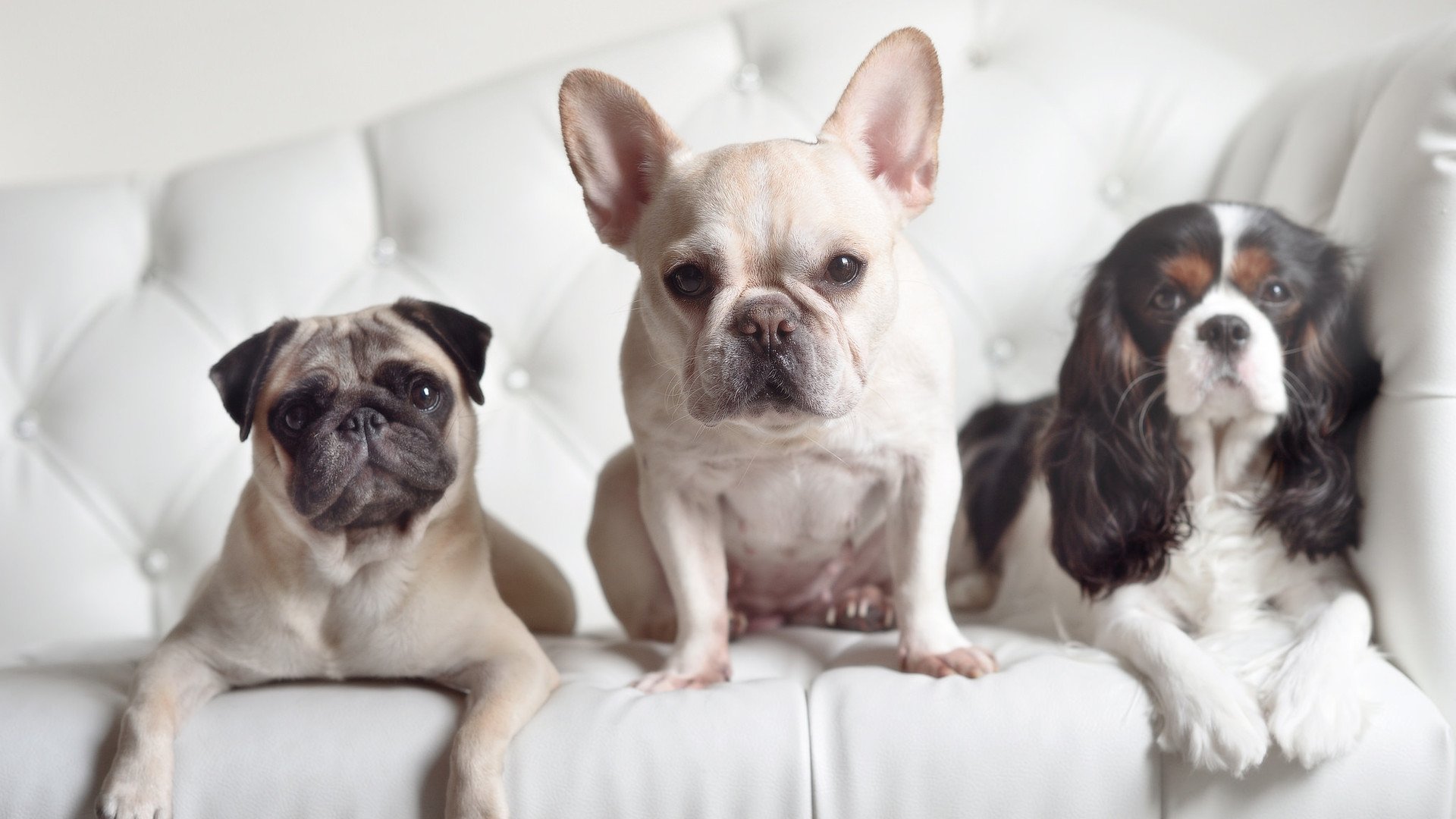 独舞者斯通斯，当哲思对阵激情，一双手扭转命运天平