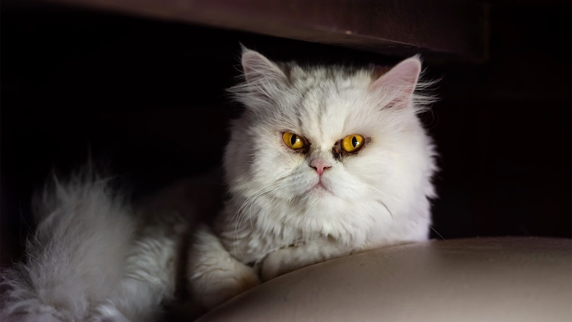 双重冰封下的熔岩迸发，雄鹿的战术锁链与文班亚马的破局艺术