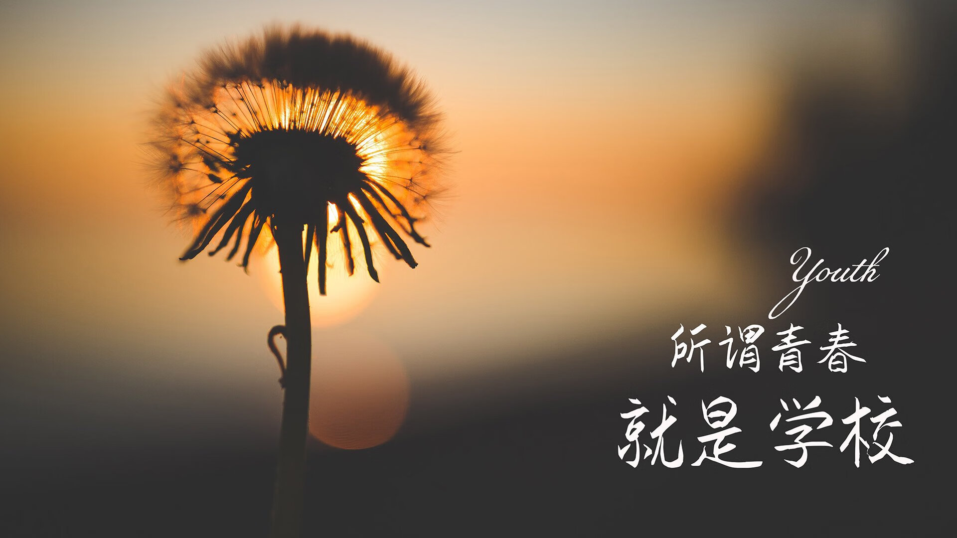 利剑折戟,斗牛士的黄昏,费利克斯刺穿伊比利亚德比,血腥斗兽场唯一生存法则